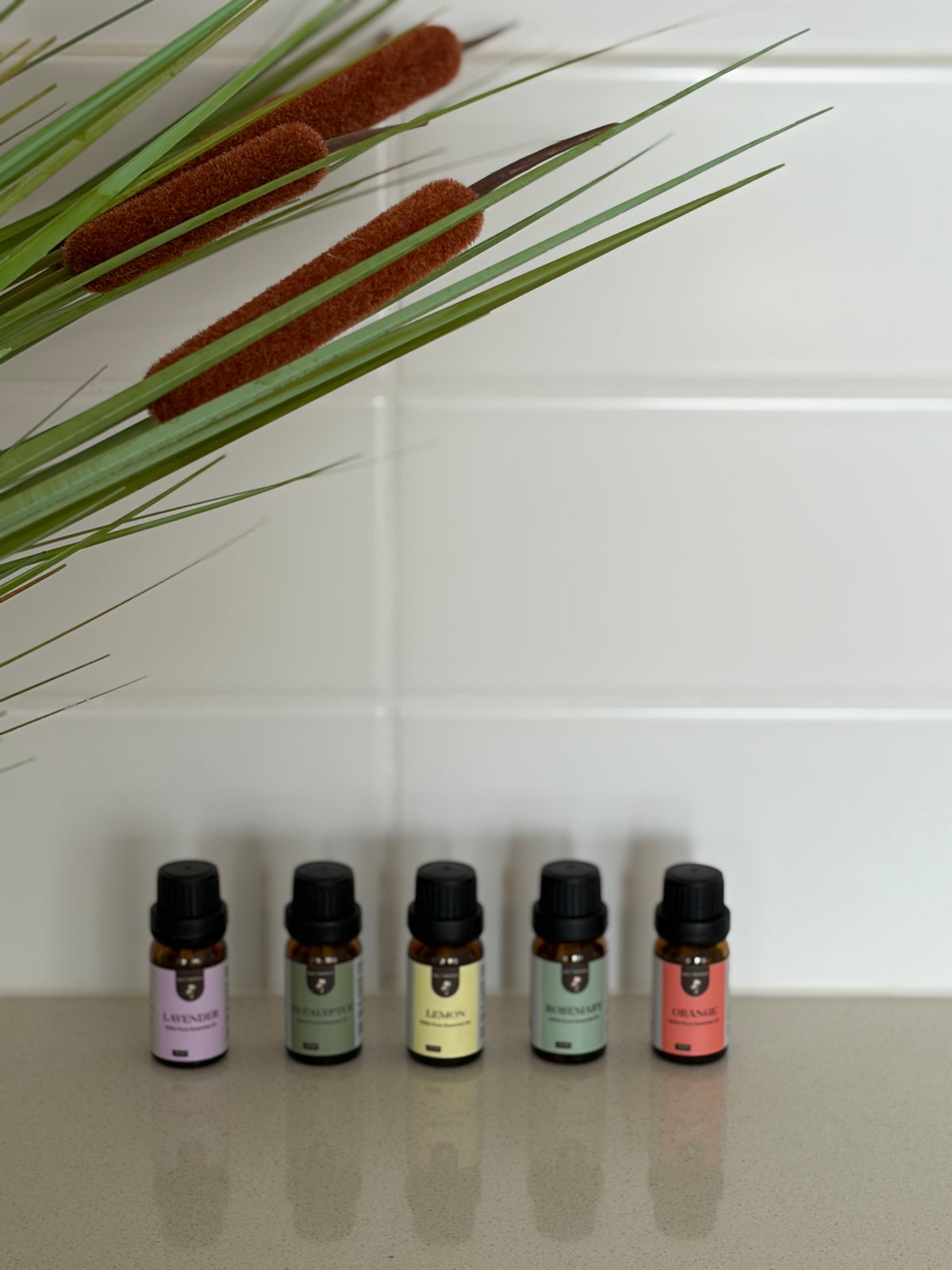 Spring essentials bundle 5pk